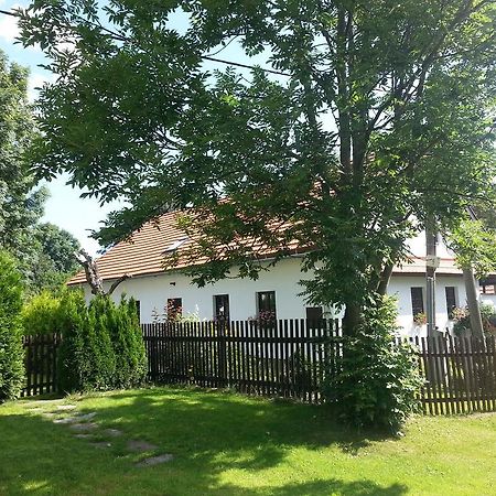 Apartman Kratka الغرفة الصورة